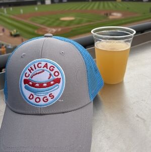 Chicago Dogs Tan & Blue Baseball Cap Hat Adjustable Mesh Snapback Hat